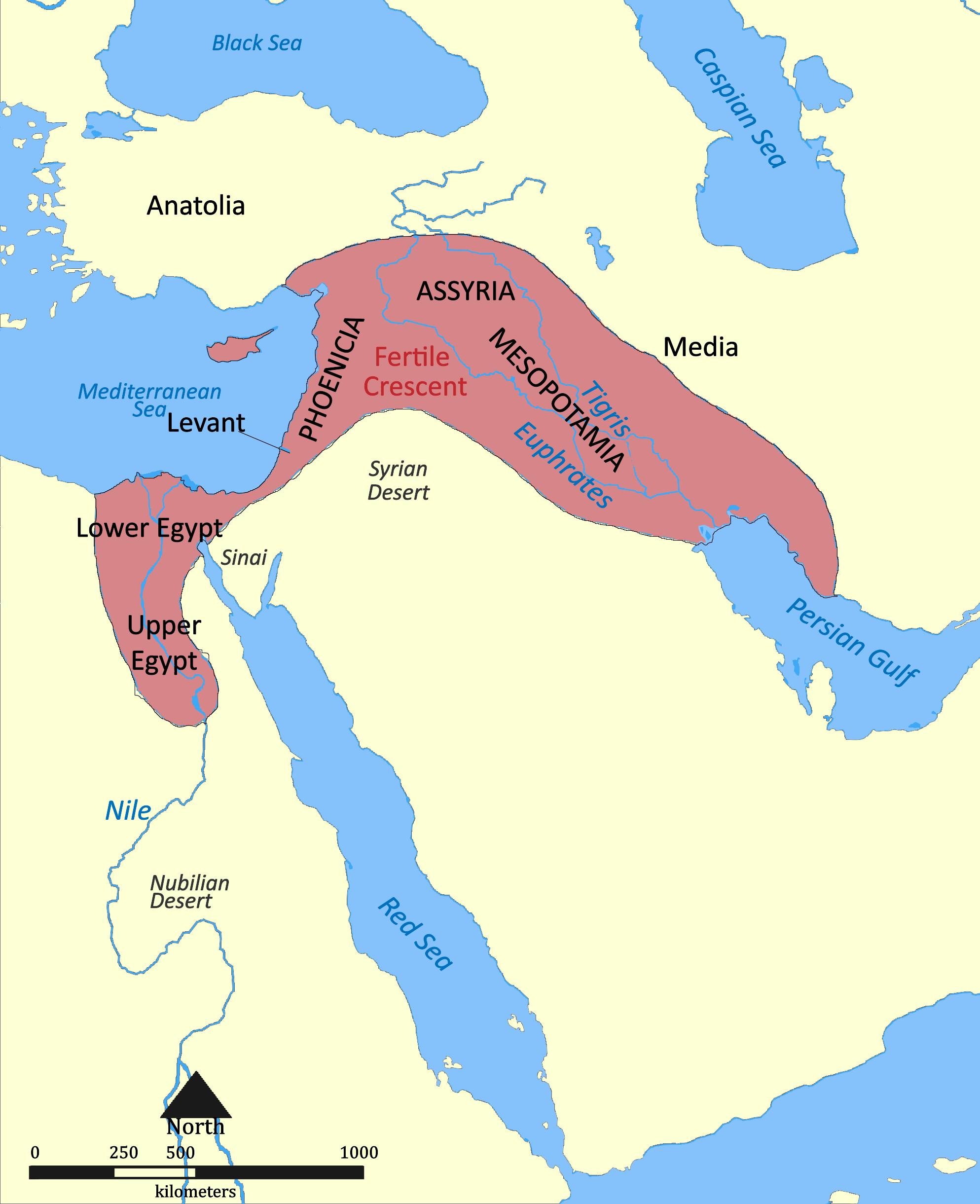 The Fertile Crescent (Fruchtbarer Halbmond)  where
    farming first developed more than 10 000 years 
    ago. The domesticated plants are called the founder crop complex.