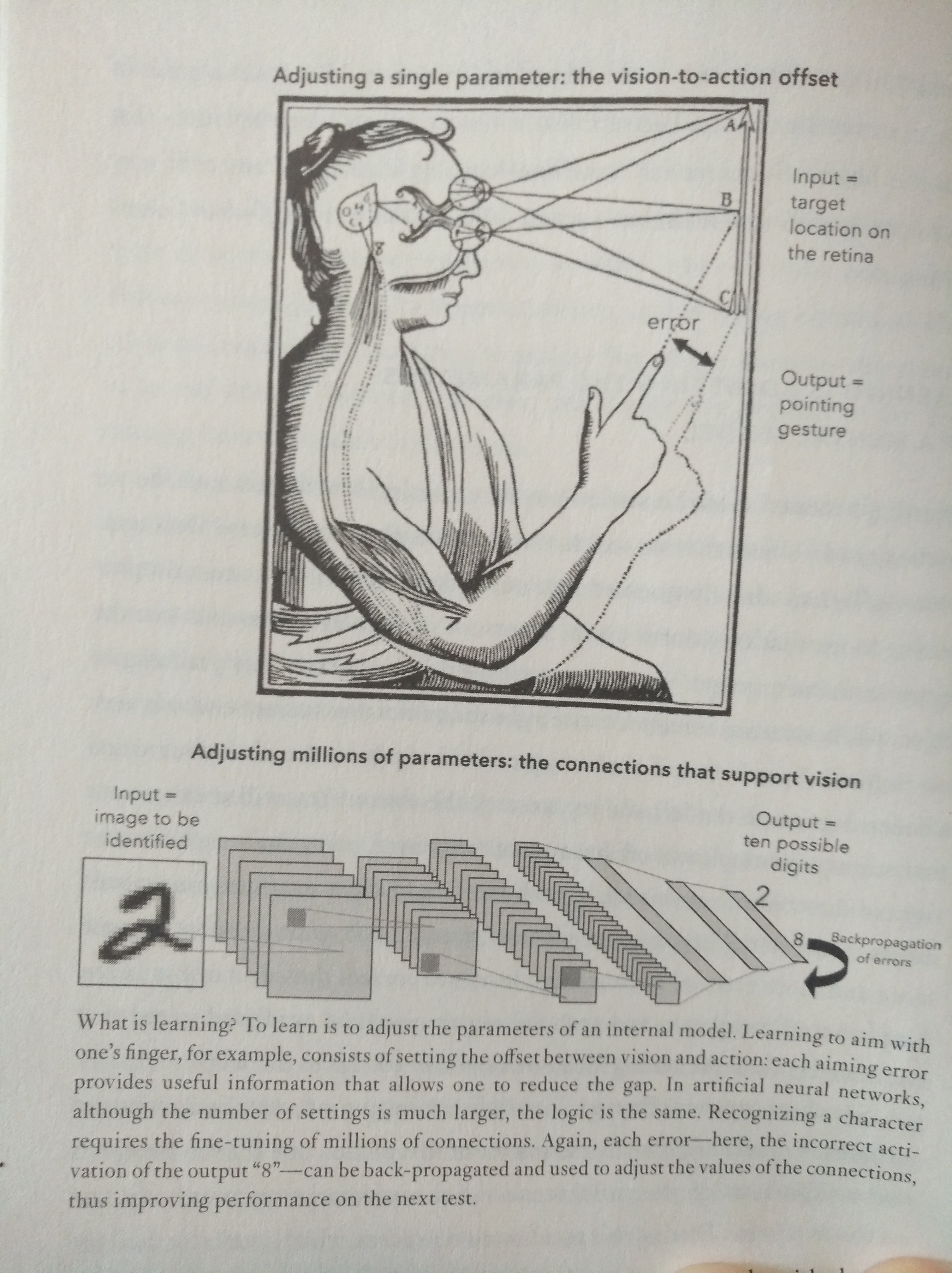 Comparison of human learning with learning in a Deep
     Neural Network (DNN) with respect to error correction on page 8
     in the book.